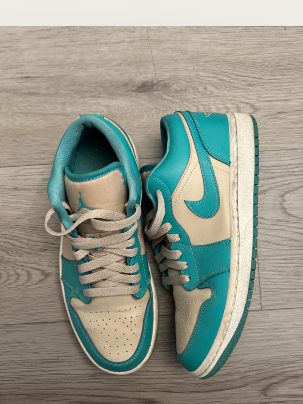 Nike Low Dunks